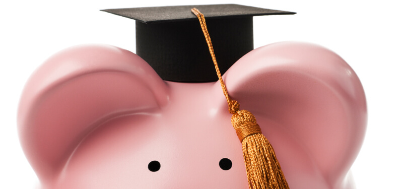Pig with Graduation Hat Graphic