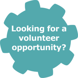 Looking for a volunteer opportunity? gear icon - teal