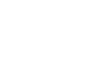 Foundation Logo - white